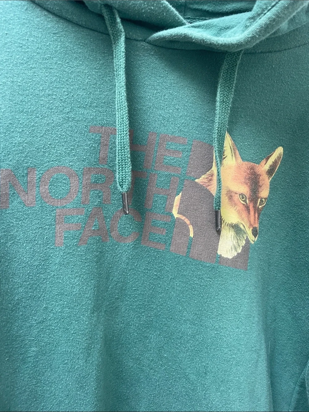 The North Face Fox Hoodie Green Men’s Medium RARE